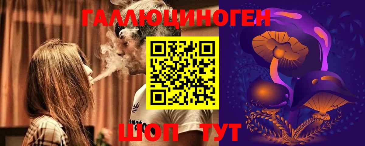 купить закладку  Галлюциногенные грибы Psilocybe  Вход с VPN  Зеленокумск 